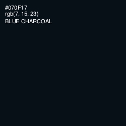 #070F17 - Blue Charcoal Color Image